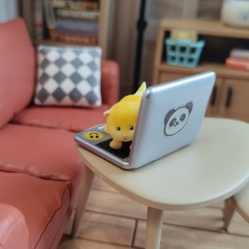 Кошачьи ежедневные дела