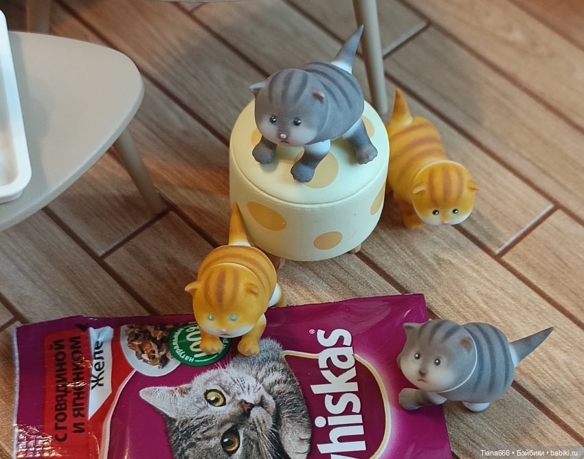 Кот, который полон забот — Фотоистории с куклами BJD (БЖД): сериалы (фото 7)