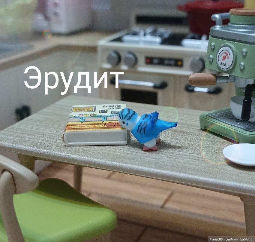 Любимый питомец. Ожидание и реальность (фото 3)