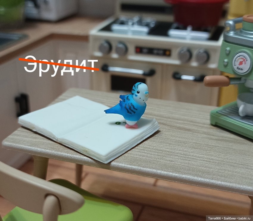 Любимый питомец. Ожидание и реальность (фото 7)