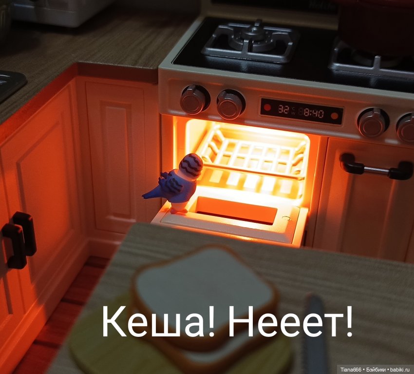 Любимый питомец. Ожидание и реальность (фото 8)