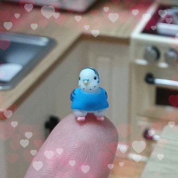 Любимый питомец. Ожидание и реальность