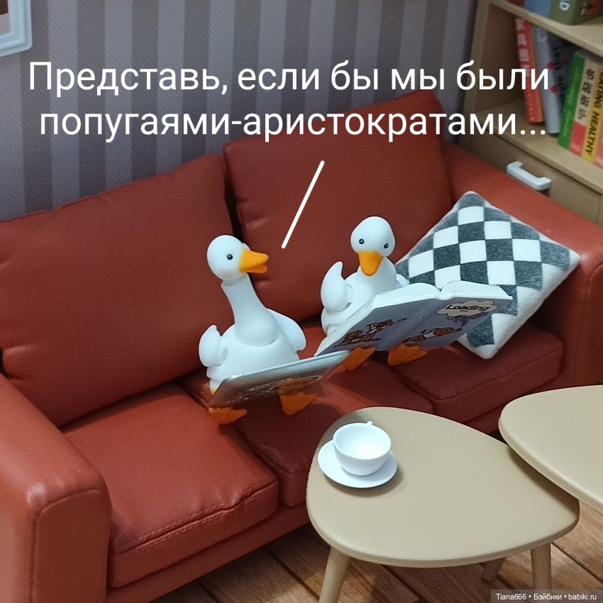 Попугаи-аристократы — Фотоистории с куклами BJD (БЖД): сериалы