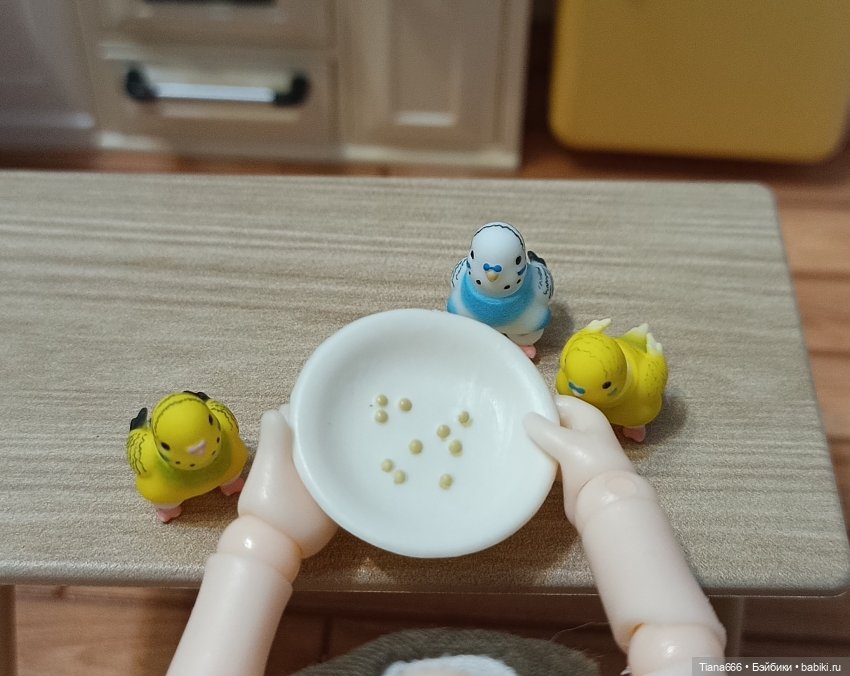 Попугаи-аристократы — Фотоистории с куклами BJD (БЖД): сериалы (фото 2)