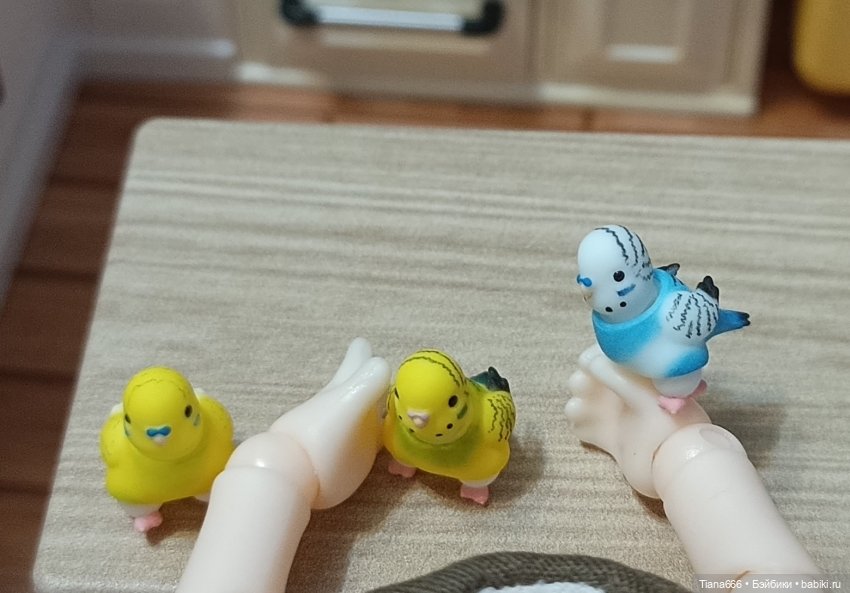 Попугаи-аристократы — Фотоистории с куклами BJD (БЖД): сериалы (фото 3)