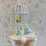 Волнистые попугаи, шарнирные микро-куколки