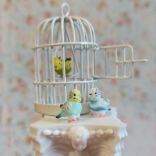 Волнистые попугаи, шарнирные микро-куколки
