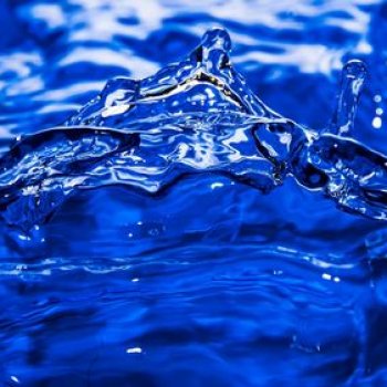 Лагуна и вопрос коллекционерам Монстрях)