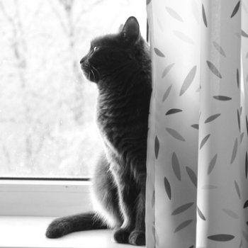 Январские морозы