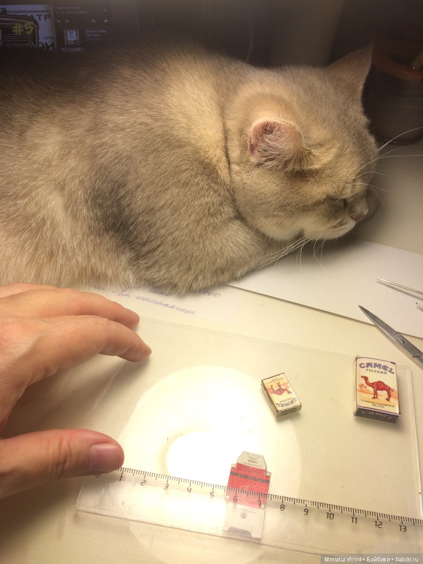 Кто помогает мне в создании кукольной миниатюры (фото 7)