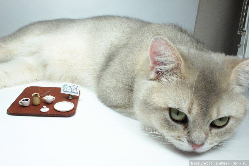 Кто помогает мне в создании кукольной миниатюры | Бэйбики Кто помогает мне в создании кукольной миниатюры (фото 10)