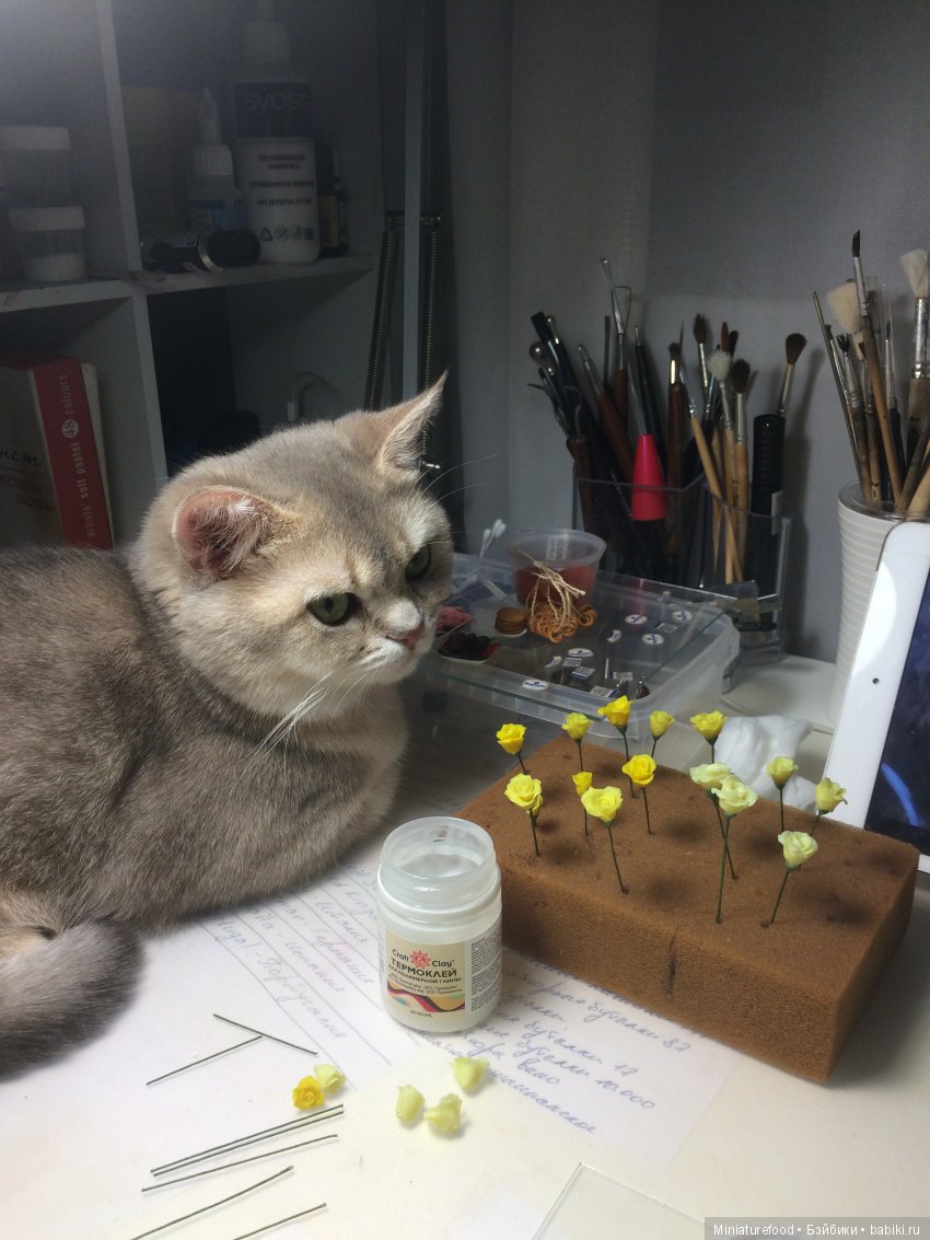 Кто помогает мне в создании кукольной миниатюры (фото 8)