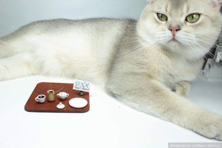 Кто помогает мне в создании кукольной миниатюры | Бэйбики Кто помогает мне в создании кукольной миниатюры