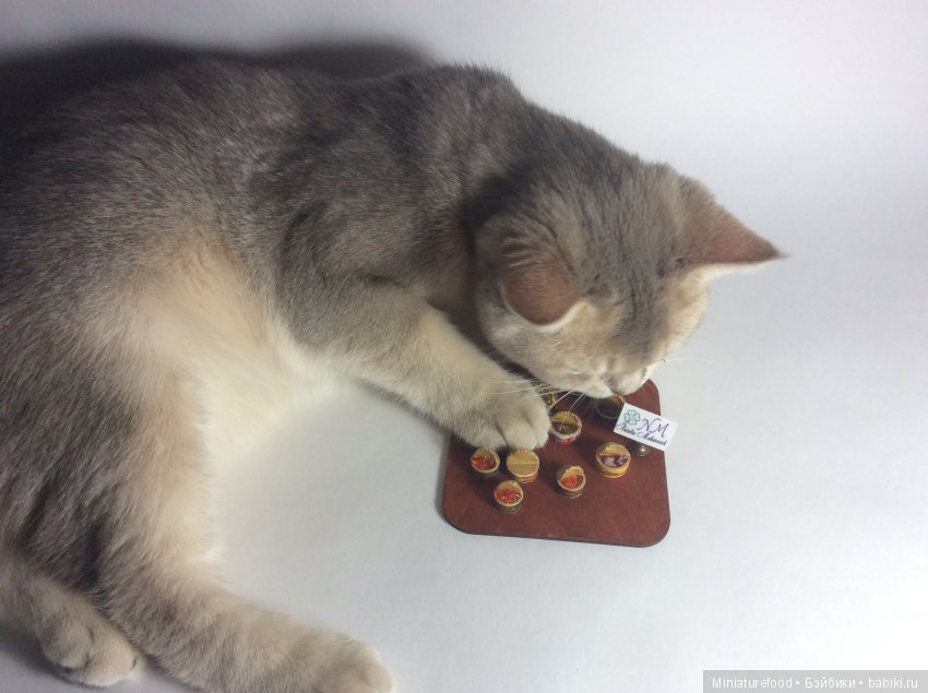 Кто помогает мне в создании кукольной миниатюры | Бэйбики Кто помогает мне в создании кукольной миниатюры (фото 4)