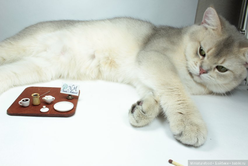 Кто помогает мне в создании кукольной миниатюры | Бэйбики Кто помогает мне в создании кукольной миниатюры (фото 9)