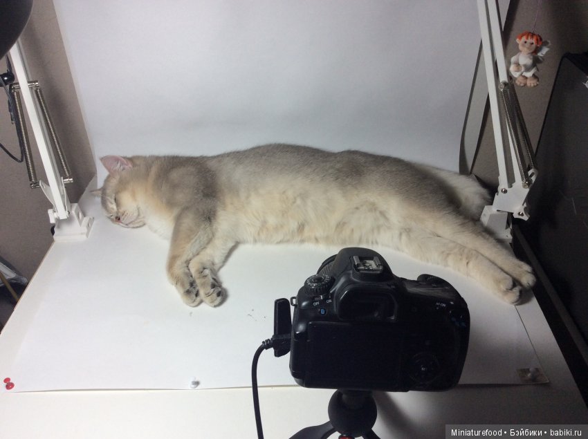 Кто помогает мне в создании кукольной миниатюры