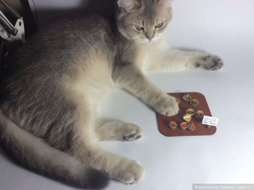 Кто помогает мне в создании кукольной миниатюры | Бэйбики Кто помогает мне в создании кукольной миниатюры (фото 3)