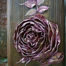 Удивительное рядом