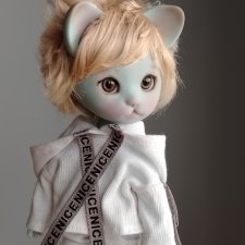 Бирюзовый котейка Джун