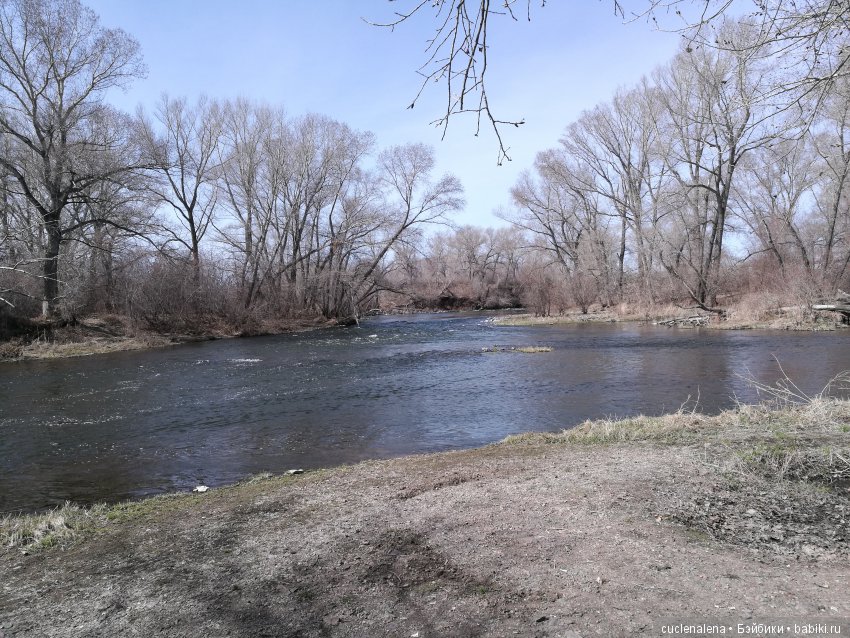 На прогулку с кидзами — Куклы Kidz'n'Cats (Соня Хартман): шарнирные 46 см