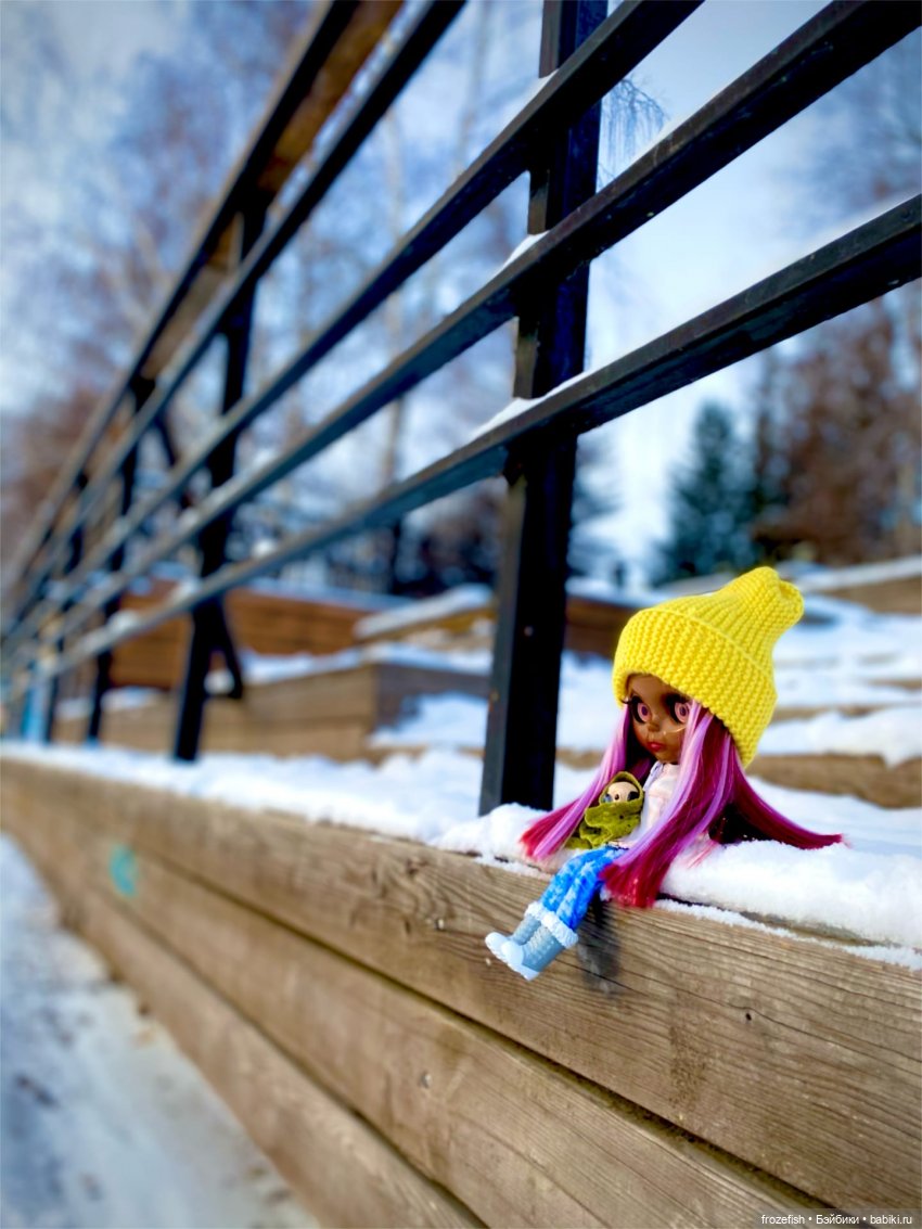 Первая зима Прешес — Куклы Blythe TBL (ТБЛ) и аналоги: Блюх (фото 6)