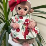 Силиконовая авторская обезьянка реборн