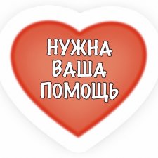 Помогите купить пупсиков в Москве