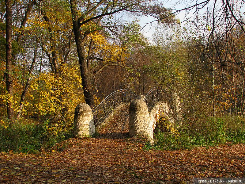 Осень одарила солнцем и золотом (фото 8)