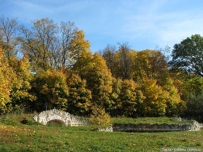 Осень одарила солнцем и золотом (фото 2)