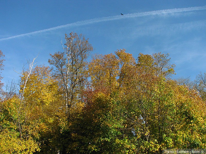Осень одарила солнцем и золотом