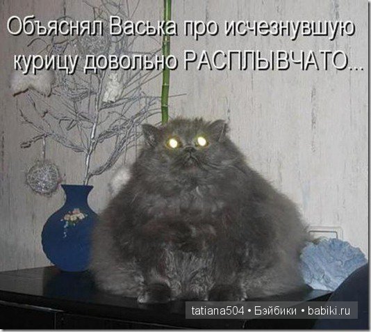 «Улыбочку пожалуйста или эти забавные КОТЫ!!!» (Воскресный позитив) (фото 9)