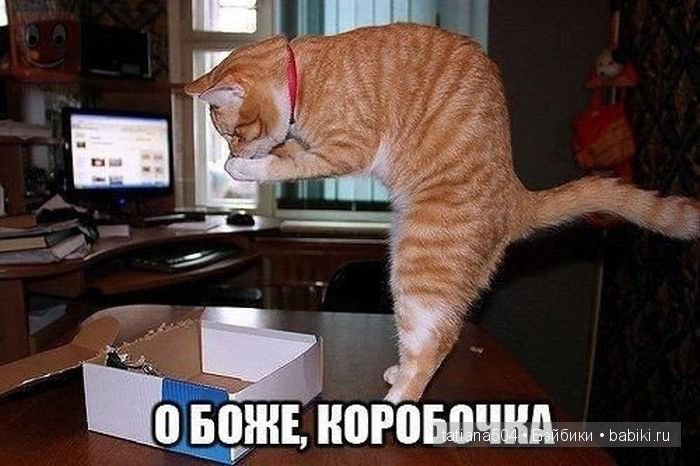 «Мечта коллекционеров!» (Субботний вечер)