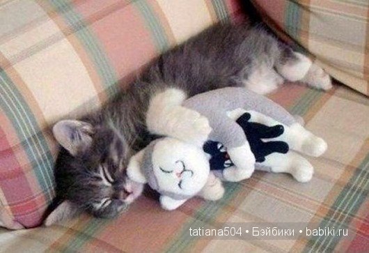 «Мечта коллекционеров!» (Субботний вечер)
