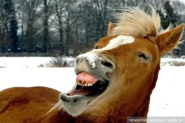 УРА, Суббота!!! Или Смеяться разрешается