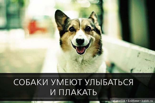 УРА, Суббота!!! Или Смеяться разрешается