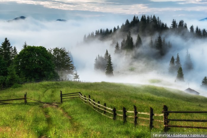 "ПРИТЧА о Горбунье" — Болталка и разговоры обо всем: жизнь