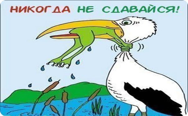 Время-река или один добрый совет (фото 6)