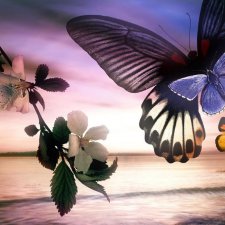 Время-река или один добрый совет!