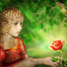 ЭКЗОТИЧЕСКИЕ ЦВЕТЫ для хорошего настроения!