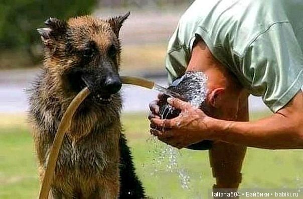 Международный День ДРУЗЕЙ