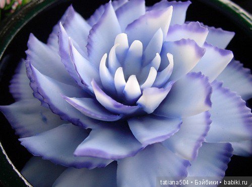 Удивительные цветы ручной работы из провинции Чианг Рай