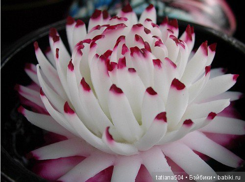 Удивительные цветы ручной работы из провинции Чианг Рай