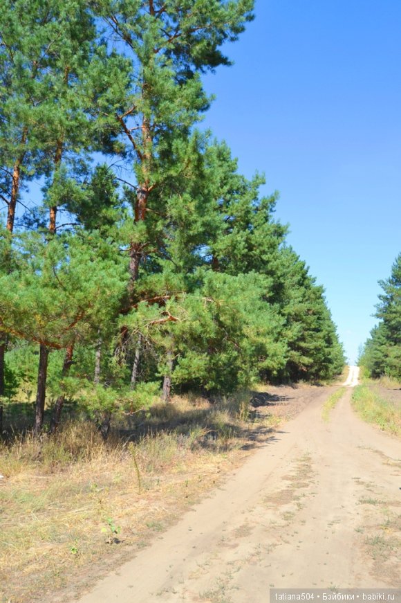 А у нас еще - ЛЕТО-ЛЕТО! Еще один выходной за городом с Клео (фото 6)