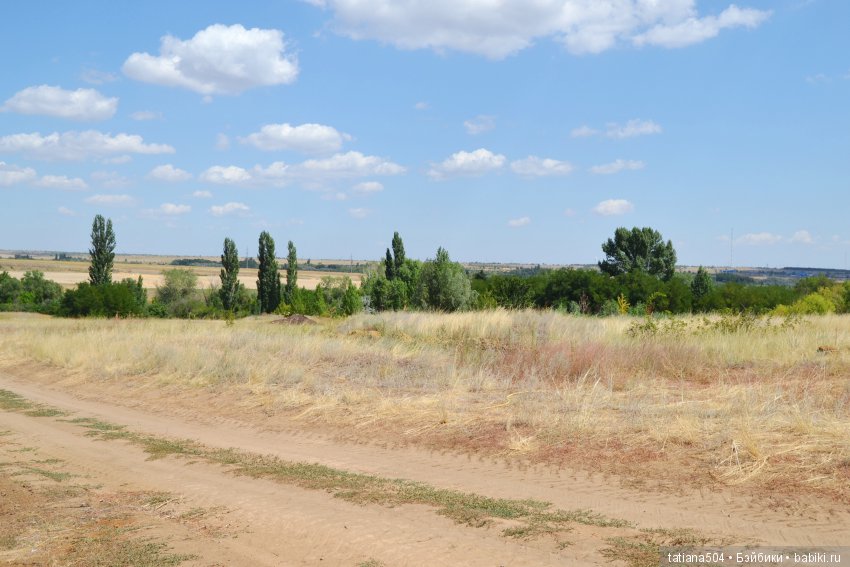 А у нас еще - ЛЕТО-ЛЕТО! Еще один выходной за городом с Клео