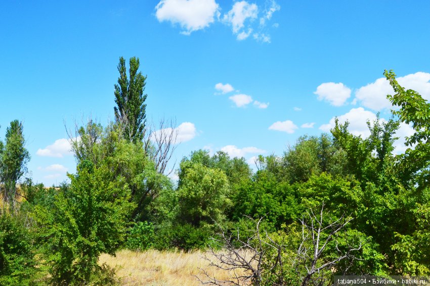 А у нас еще - ЛЕТО-ЛЕТО! Еще один выходной за городом с Клео