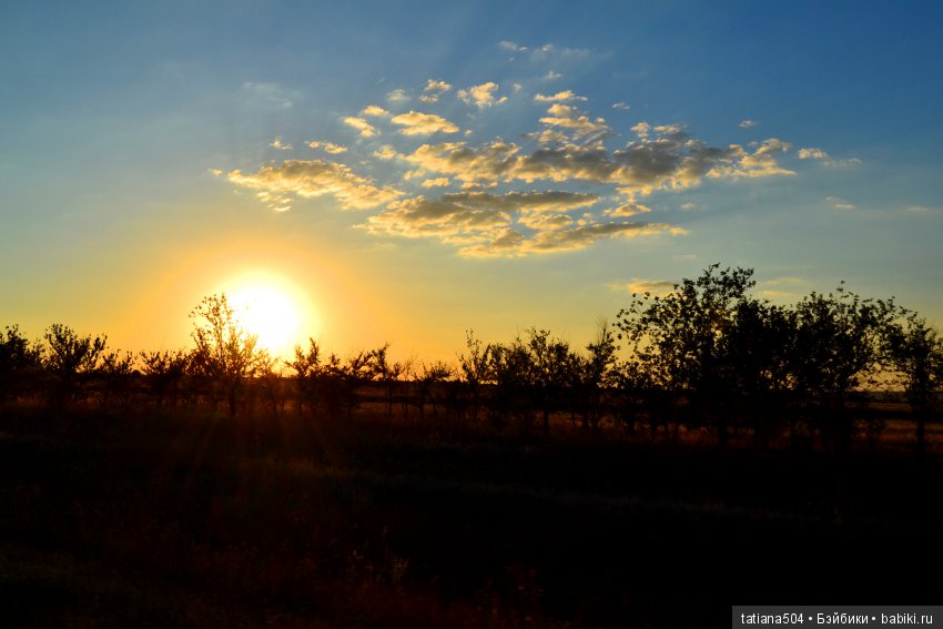 А у нас еще - ЛЕТО-ЛЕТО! Еще один выходной за городом с Клео