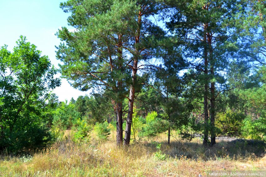 А у нас еще - ЛЕТО-ЛЕТО! Еще один выходной за городом с Клео (фото 7)