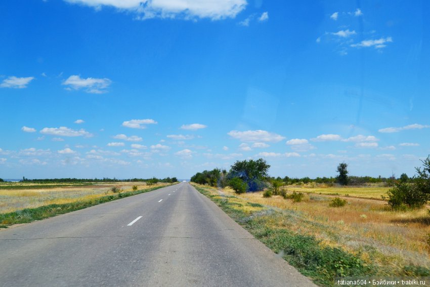 А у нас еще - ЛЕТО-ЛЕТО! Еще один выходной за городом с Клео (фото 3)