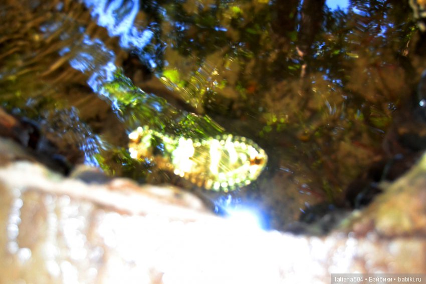 А у нас еще - ЛЕТО-ЛЕТО! Еще один выходной за городом с Клео