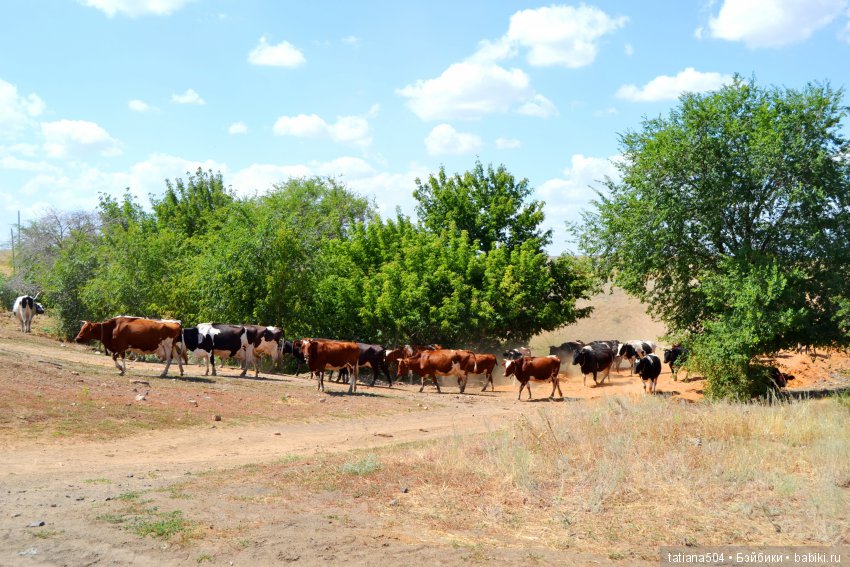 А у нас еще - ЛЕТО-ЛЕТО! Еще один выходной за городом с Клео